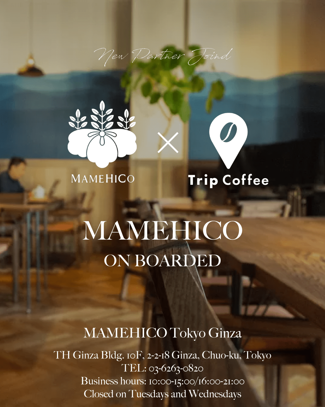新規パートナー『MAMEHICO』追加 - Trip Coffee®